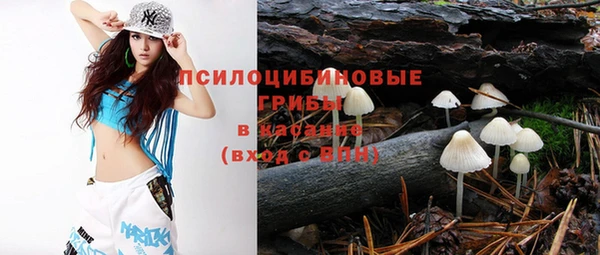 дживик Балахна