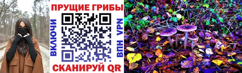 Галлюциногенные грибы мицелий  где найти   Курганинск 